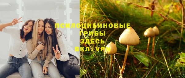 гидропоника Алексин
