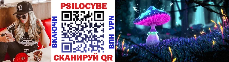 omg   Уссурийск  Псилоцибиновые грибы Psilocybine cubensis 